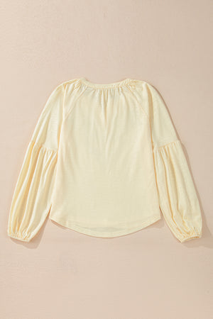 Apricot Paisley Floral Embroidered Notch V Neck Blouse